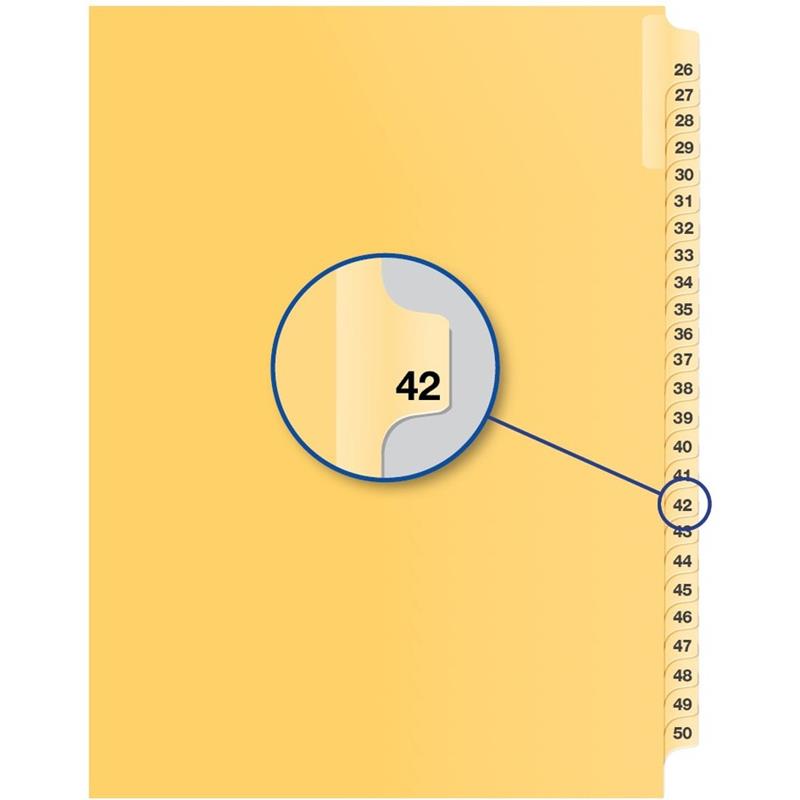 Image Individual Numerical Litigation Index Dividers