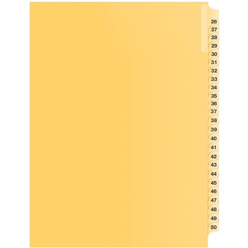 Image Litigation Index Dividers